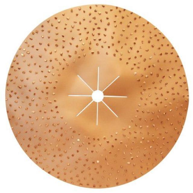 Rental store for FLOOR, 17  TUNGSTEN STRIPPING DISC in Fairfield CA